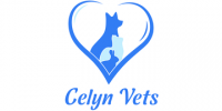 Registered veterinary nurse