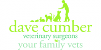 Experienced veterinary surgeon