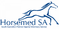 Equine veterinarian - south australia.  