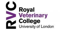 Teaching fellow in farm animal pathology pathology