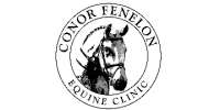 Equine vet - experienced vets and recent grads considered