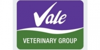 Small animal vet