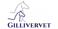 Experienced equine veterinary surgeon