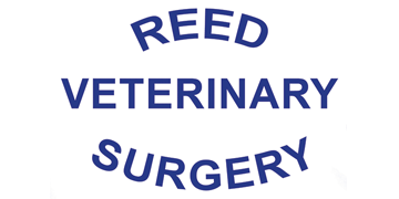 Veterinary surgeon