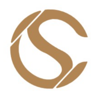 Sales & project management executive