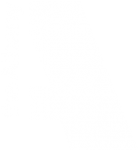 Community engagement  manager