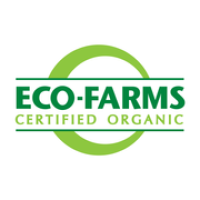 Fresh produce warehousing staff