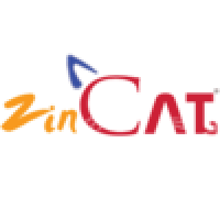 Senior business analyst