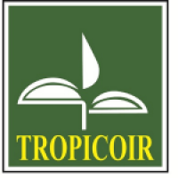 Executive - sustainability