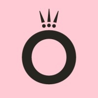 Software engineer / developer