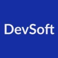 Software developer