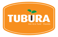 Innovations program associate